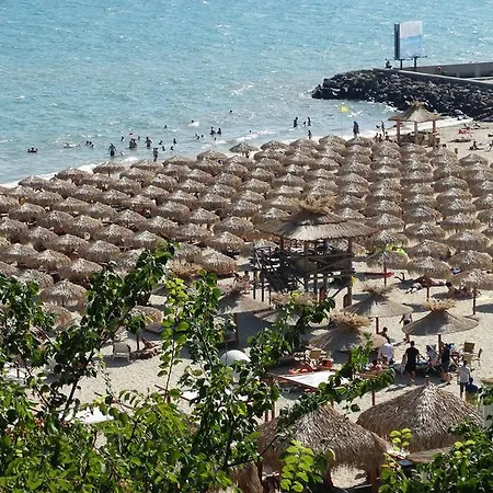 Manastira Vlas